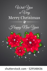 Christmas decoration with christmas flower.