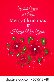 Christmas decoration with christmas flower.
