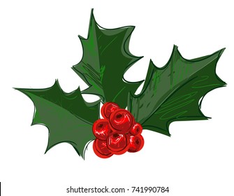 Christmas Decoration, Hand Drawn Holly With Berries Vector Illustration