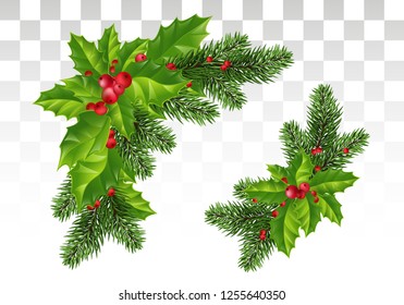 Christmas decoration of holly leaf wreath, red berries, Christmas tree branches, on transparent background. Vector isolated decorative element for Christmas or New Year greeting card design template.