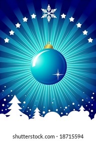 Christmas decoration with other elements
