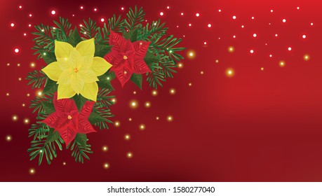 Christmas decoration. Red and yellow poinsettia with green tree. Christmas Stars. Beautiful Christmas border.Christmas symbols. 3D realistic poinsettia with copy space for your text.Vector
