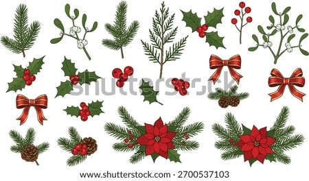 Christmas decoration set isolated on white background. Collection of different Christmas elements. Vector illustration with pine, poinsettia, holly and mistletoe. Festive design.