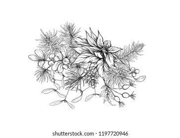 Christmas decoration, a wreath made of fir branches, puancetti, pine, holly, mistletoe, dog rose. Isolated on white background. Graphic drawing, engraving style. vector illustration.
