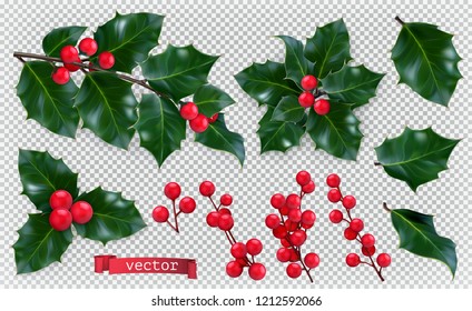 Christmas decorations. Holly, red berries. 3d realistic vector icon set