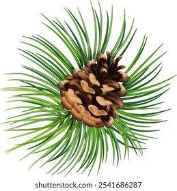 Christmas decorations plants realistic composition with green tree branches and pine cones vector illustration. Eps 10