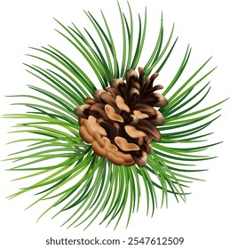 Christmas decorations plants realistic composition with green tree branches and pine cones vector illustration. Eps 10