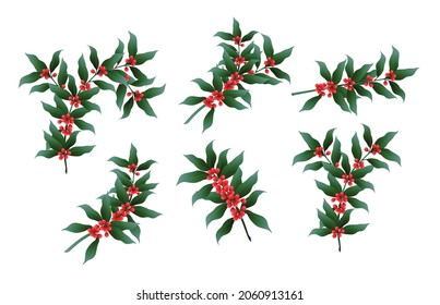 Christmas decorations, red berries branches.