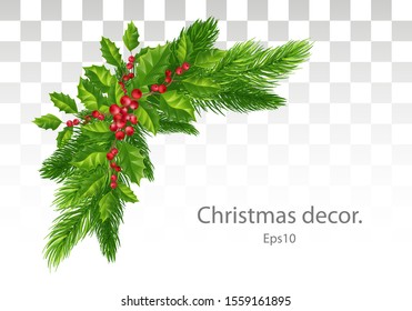 Christmas decorations: Christmas tree branches and holly with red berries. Festive composition. Isolated. Eps10 Vector