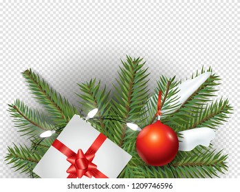 Christmas decorations vector illustration. Evergreen pine branches on transparent background