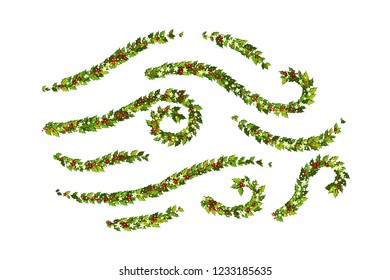 Christmas decorations withholly leaves, red and white poinsettia flowers and snow. Ornamental design elements collection. Illustration for xmas and new year design.