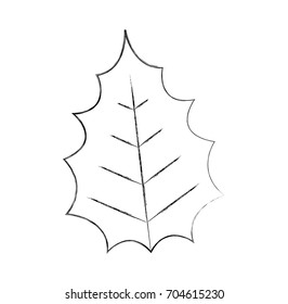 christmas decorative leaf icon