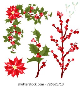 Christmas decorative leaves holly and branches with winter red berries evergreen floral plant vector illustration