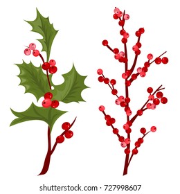 Christmas decorative leaves holly and branches with winter red berries evergreen floral plant vector illustration