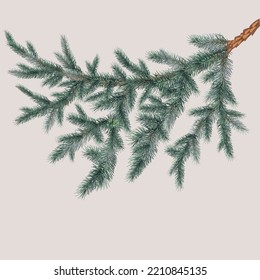 Christmas decorative watercolor garland of pict branches on a light background