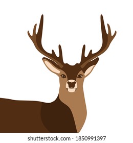 Deer de Navidad - Fondo de Navidad - Ilustración vectorial de stock