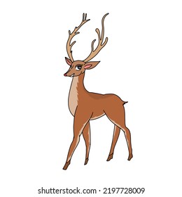 Christmas deer illustration in traditional cartoon style isolated on white background