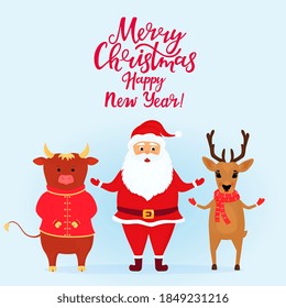 Christmas deer, Santa Claus and bull. Ox symbol of Chinese New Year