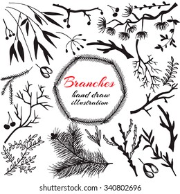 Christmas design branches. Vector branches. Stock vector