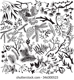 Christmas design branches. Vector branches. Stock vector
