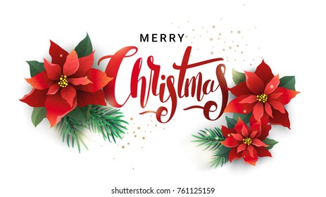 Christmas design composition of poinsettia, fir branches and lettering. Vector illustration can be used as cover, invitation card, promotional banner, greeting card.