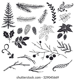 Christmas design elements: fir, spruce branch, Christmas tree, branch, poinsettia, holly, pine cone. 