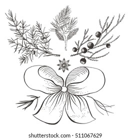 Christmas design elements: ribbon, branch with berries, fir branch with cone, cinnamon.