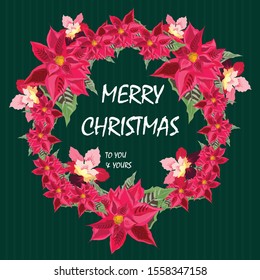 Christmas design vector. Bundle of pine branches, Xmas decoration object, flowers, poinsettias -  vector