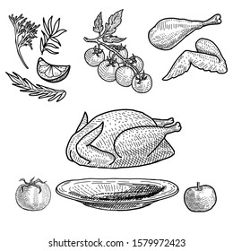 Christmas dinner turkey set hand drawn isolated for design.