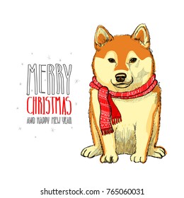 Christmas dog on Christmas card with inscription greeting Merry Christmas and Happy new year. Shiba-Inu Dog in a red scarf with snowflakes on background. Vector illustration.