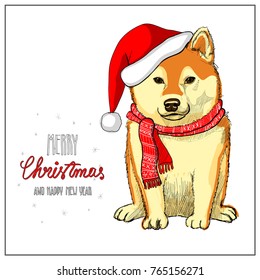 Featured image of post Christmas Shiba Inu Wallpaper - Haru the shiba inu opens up her christmas gifts!