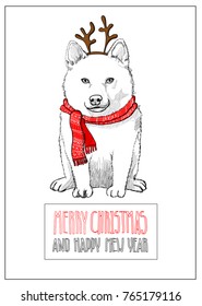 Christmas dog on Christmas card with inscription greeting Merry Christmas and Happy new year. Shiba-Inu Dog in a red scarf and horn deer mask. Vector illustration.