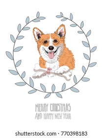 Christmas dog on christmas card. Welsh Corgi dog with bone. Vector illustration