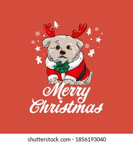 Christmas Dog Poodle Vector Illustration