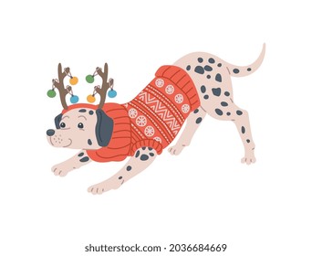 Christmas dog in red pattern sweater and deer horns decorated with color balls. Cute funny pet puppy dalmatian with holiday antlers reindeer. Flat vector isolated illustration.