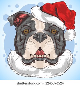 CHRISTMAS DOG SANTA CLAUS