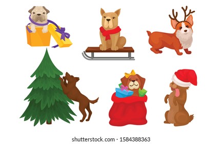 Christmas Dogs Collection, Cute Pets of Different Breeds with Holiday Accessories Vector Illustration