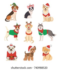 Christmas Dogs collection. Vector illustration of funny cartoon different breeds dogs in Christmas costumes. Isolated on white