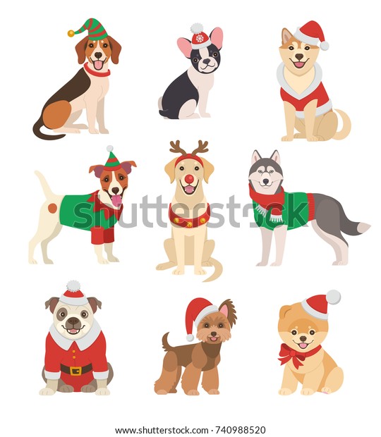 クリスマス ドッグのコレクション おかしな漫画のベクターイラストで クリスマスの衣装を着た犬が違う種類 白い背景に のベクター画像素材 ロイヤリティフリー