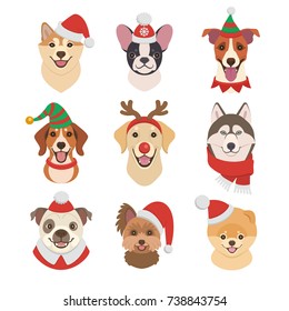 Christmas Dogs faces collection. Vector illustration of funny cartoon different breeds dogs in Christmas costumes. Isolated on white