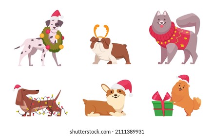 Christmas dogs. Funny domestic animals puppy in sweater and scarf preparing to new year holiday winter clothes for dogs exact vector cartoon characters