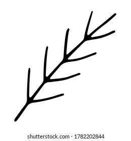 Christmas doodle element - pine branch. Winter design single element for cards, posters, banners, wrapping paper, stickers, logo and other winter design.