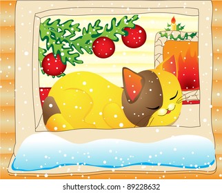 Christmas dream. Cat sleeps on window-sill in warm home
