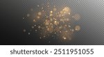 Christmas Dust. Christmas Bokeh Lights. Festive Designs.White png dust light. Christmas background of shining dust. Spark overlay. Holiday powder dust for cards, invitations, banners, and ads.