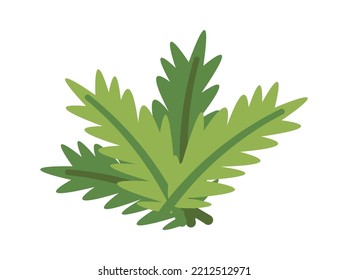 Icono plano de elemento navideño Rama de coníferas Evergreen