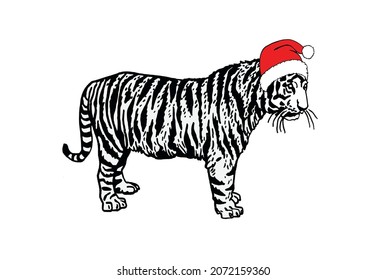 Christmas element, graphical tiger in Santa Claus hat on white background, vector symbol of new year 2022