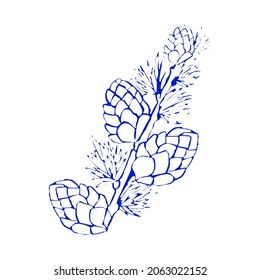 Christmas element. Christmas pinecone. Vector illustration design element set. Isolated vector design. Template for design.