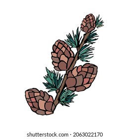 elemento de Navidad. Pinecona de Navidad. Conjunto de elementos de diseño de ilustración vectorial. Diseño vectorial aislado. Plantilla de diseño.
