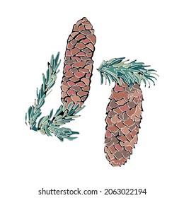 Christmas element. Christmas pinecone. Vector illustration design element set. Isolated vector design. Template for design.