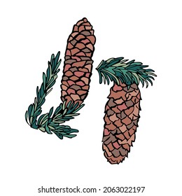 Christmas element. Christmas pinecone. Vector illustration design element set. Isolated vector design. Template for design.